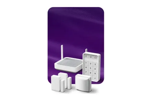 Simplify Home Automation with Roku Smart Home Devices