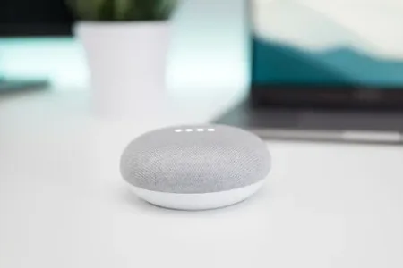 Voice Control: Smart Speakers as Home Entertainment