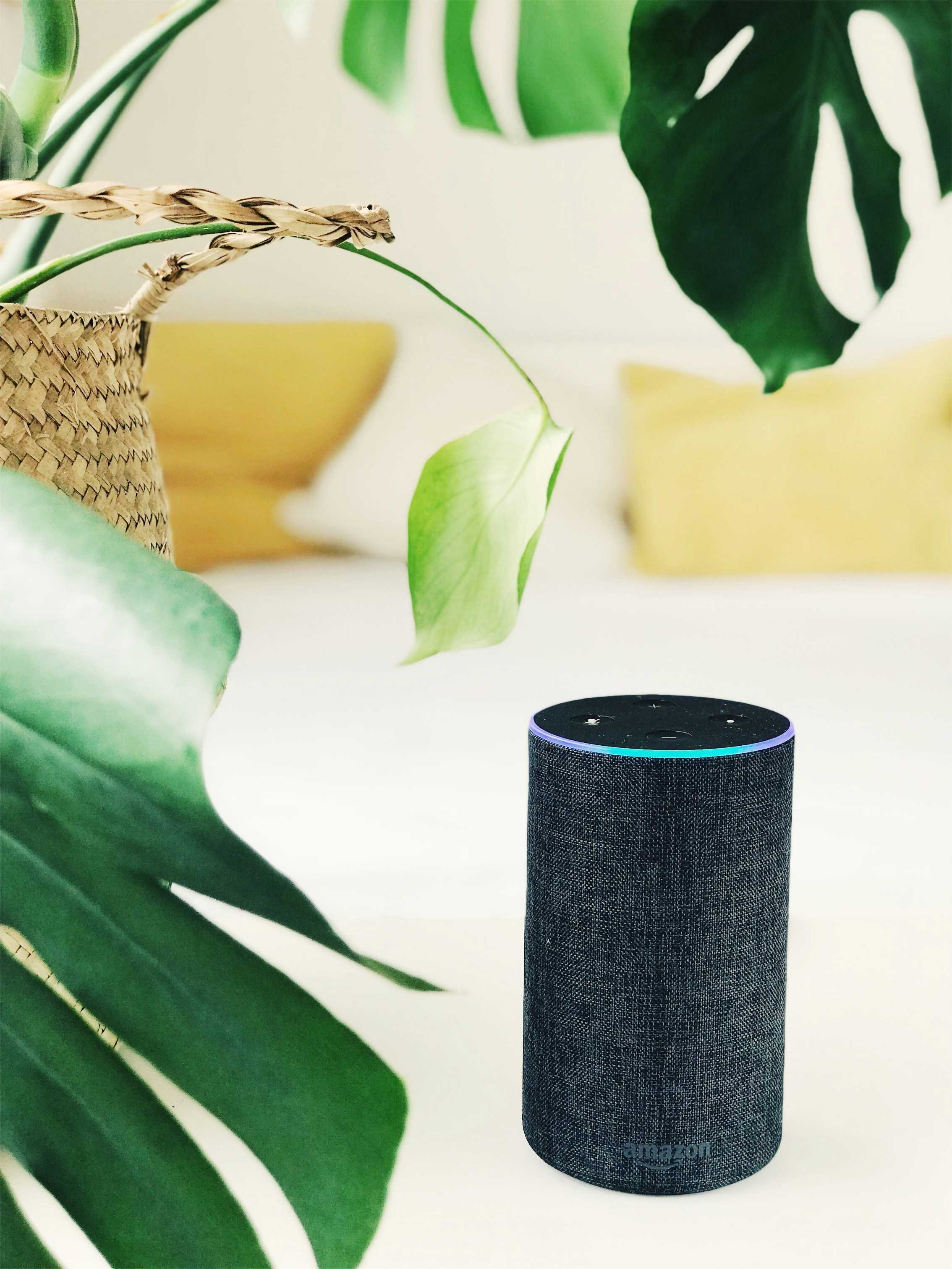 Best Features of Amazon Echo for Smart Homes